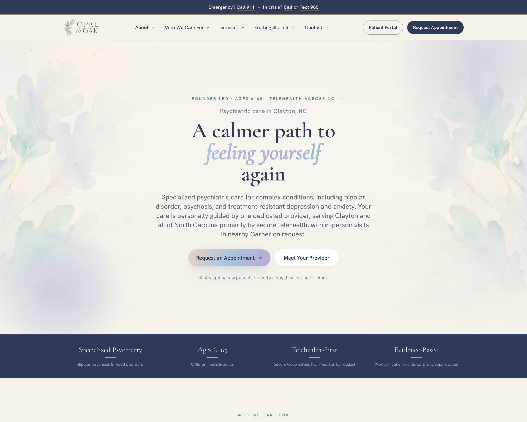Opal & Oak Psychiatry and Wellness: practice website